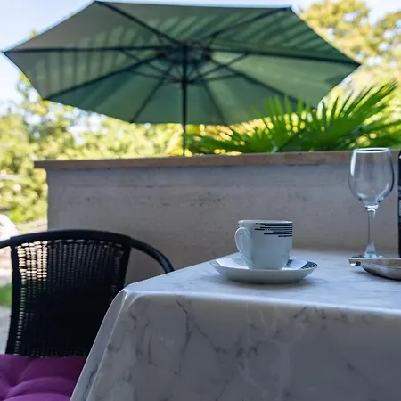 Laurus ונטאצ'יצ'י